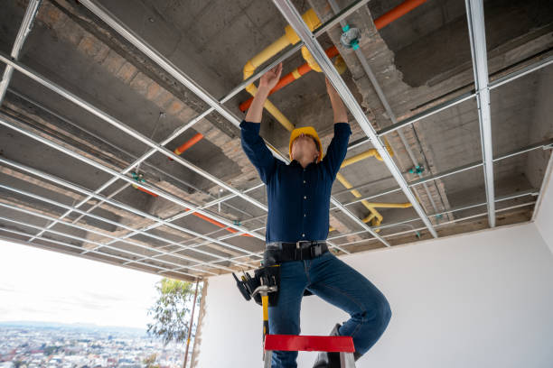 Best Local Plumber Services  in Ansted, WV